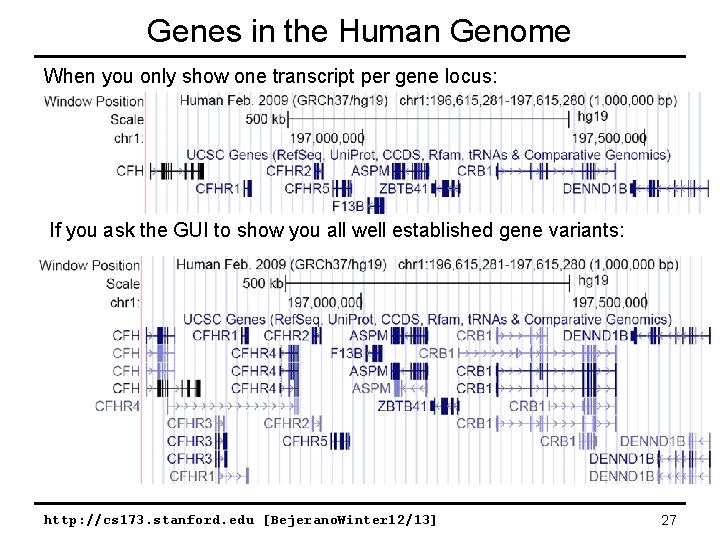 Genes in the Human Genome When you only show one transcript per gene locus: