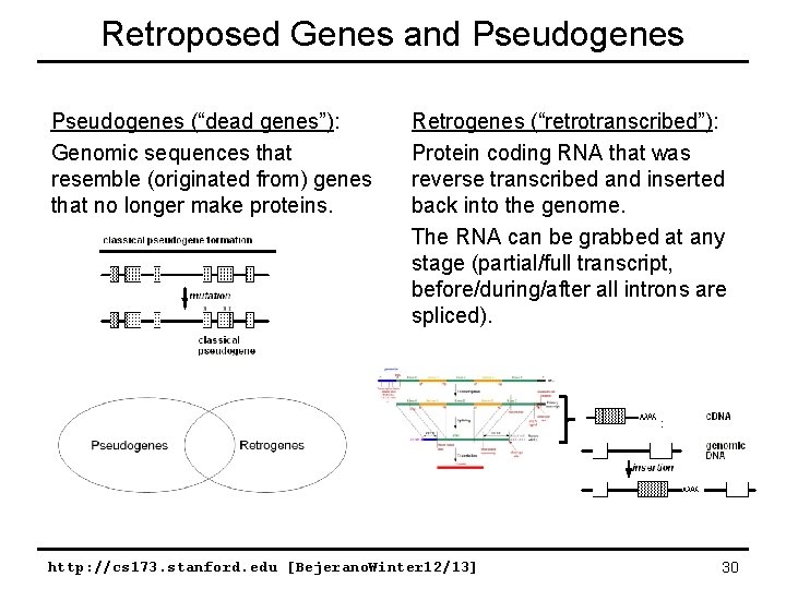 Retroposed Genes and Pseudogenes (“dead genes”): Genomic sequences that resemble (originated from) genes that