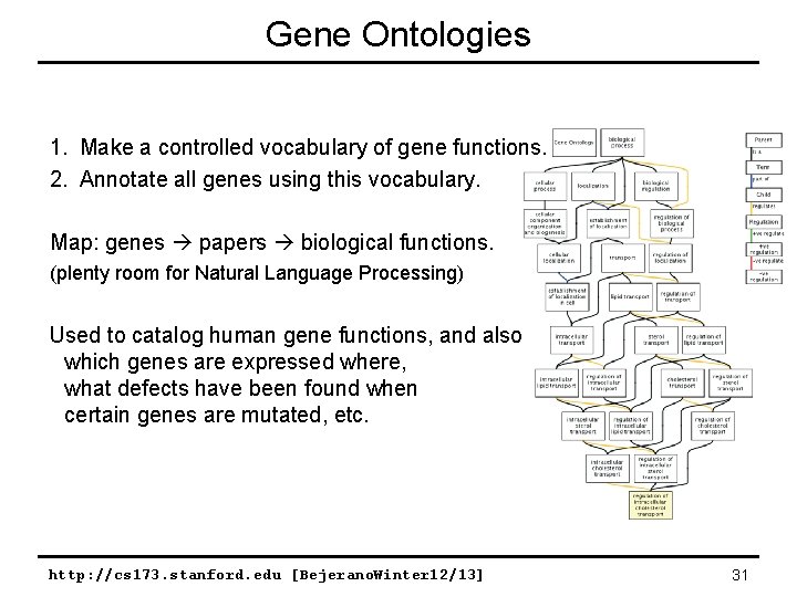 Gene Ontologies 1. Make a controlled vocabulary of gene functions. 2. Annotate all genes