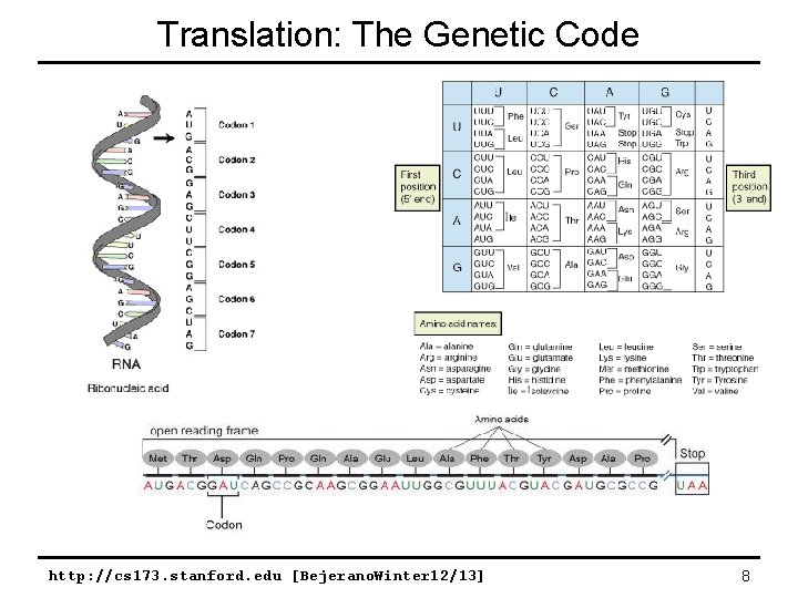 Translation: The Genetic Code http: //cs 173. stanford. edu [Bejerano. Winter 12/13] 8 