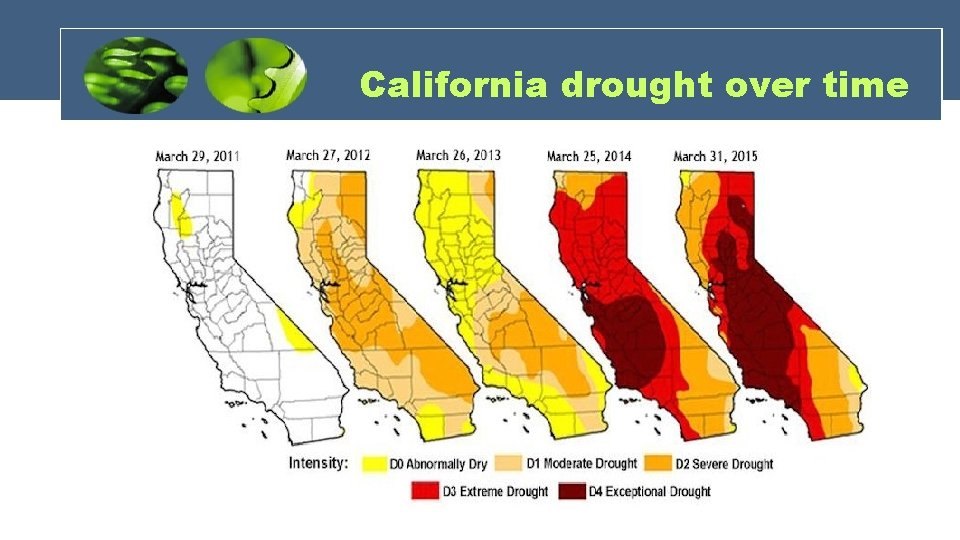 Climate Change Affects on California BY Irene Mirella