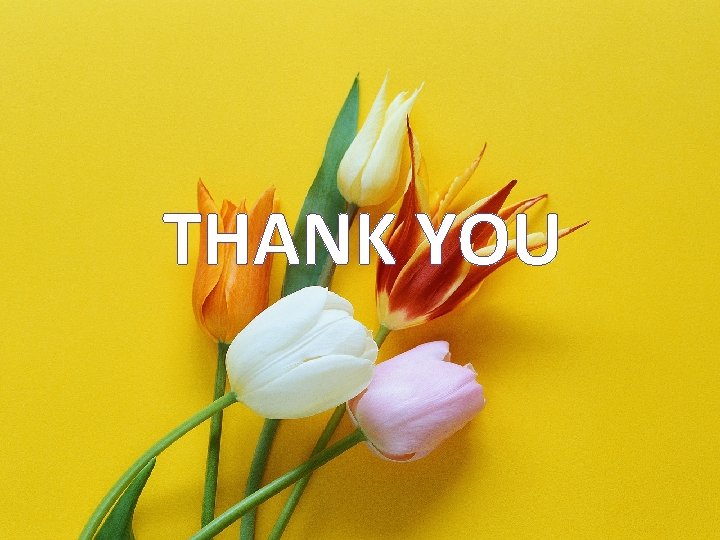 THANK YOU 