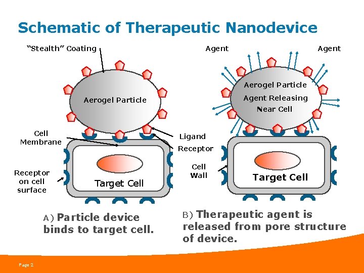 Schematic of Therapeutic Nanodevice “Stealth” Coating Agent Aerogel Particle Agent Releasing Aerogel Particle Near