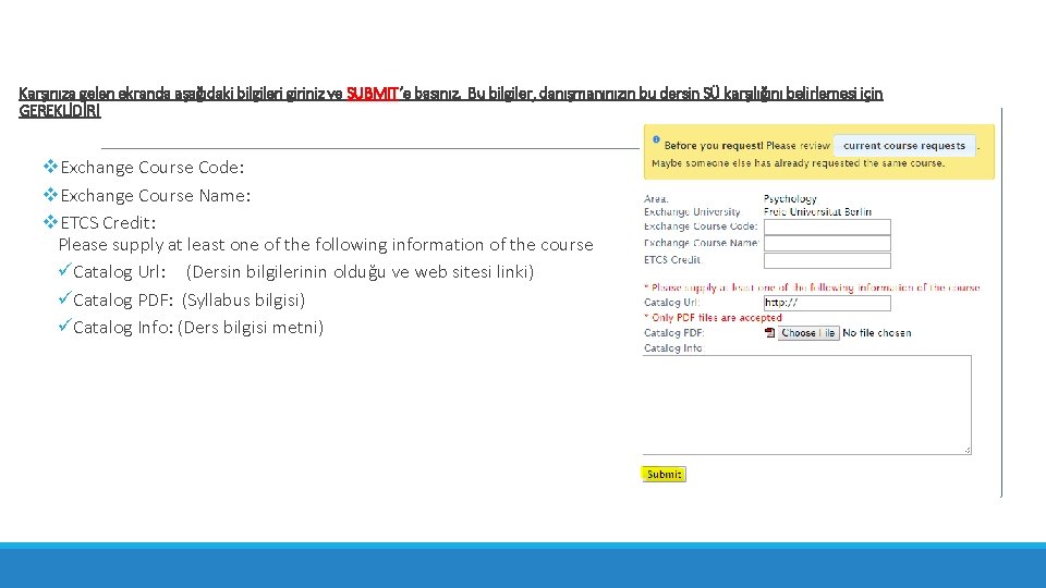 Karşınıza gelen ekranda aşağıdaki bilgileri giriniz ve SUBMIT’e basınız. Bu bilgiler, danışmanınızın bu dersin
