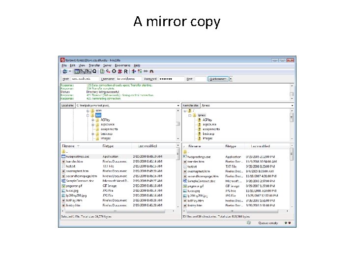 A mirror copy A mirror copy