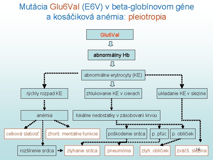 Mutácia Glu 6 Val (E 6 V) v beta-globínovom géne a kosáčiková anémia: pleiotropia