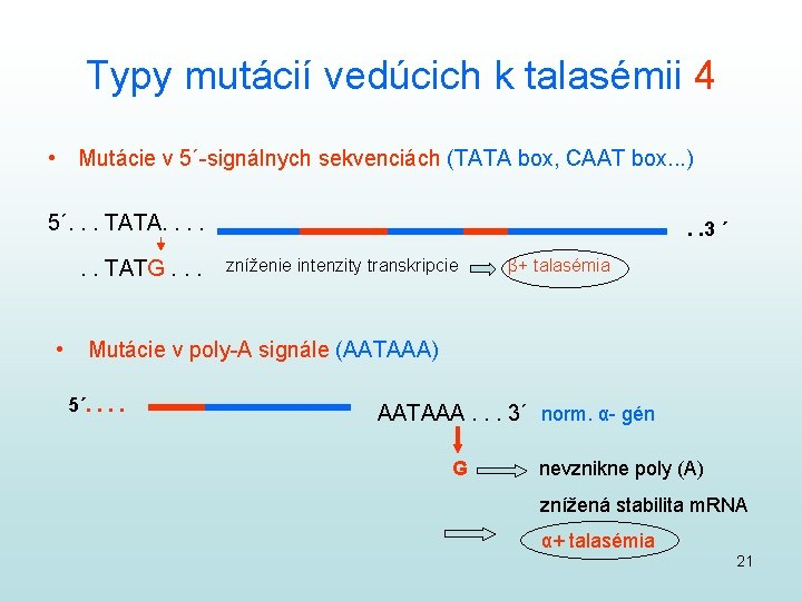 Typy mutácií vedúcich k talasémii 4 • Mutácie v 5´-signálnych sekvenciách (TATA box, CAAT
