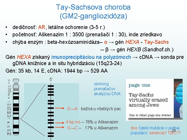Tay-Sachsova choroba (GM 2 -gangliozidóza) • dedičnosť: AR, letálne ochorenie (3 -5 r. )