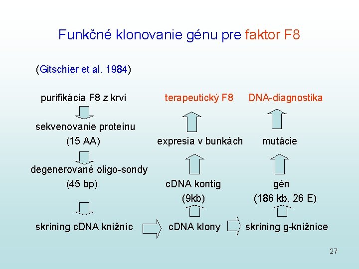 Funkčné klonovanie génu pre faktor F 8 (Gitschier et al. 1984) purifikácia F 8