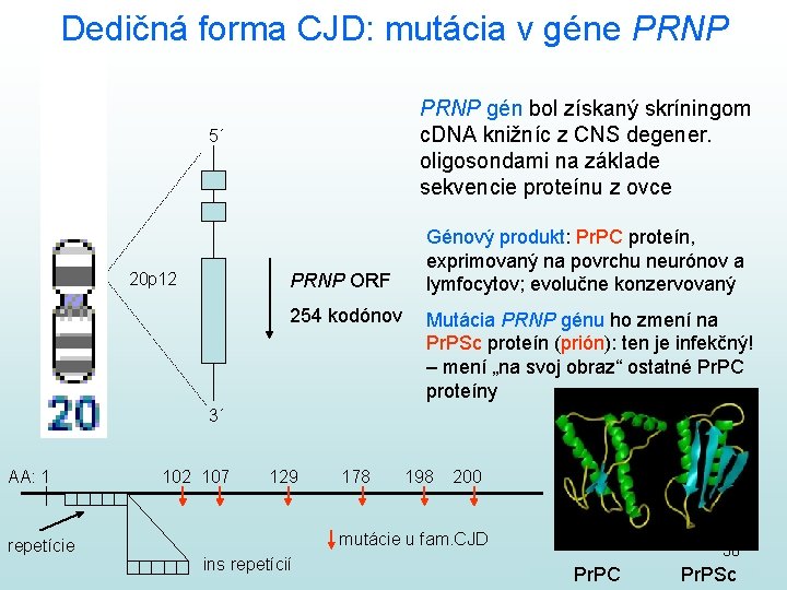 Dedičná forma CJD: mutácia v géne PRNP gén bol získaný skríningom c. DNA knižníc