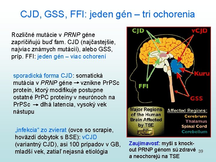 CJD, GSS, FFI: jeden gén – tri ochorenia Rozličné mutácie v PRNP géne zapríčiňujú