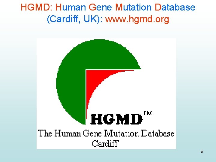 HGMD: Human Gene Mutation Database (Cardiff, UK): www. hgmd. org 6 