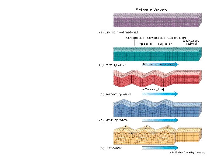 Seismic Waves 