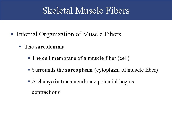 Skeletal Muscle Fibers § Internal Organization of Muscle Fibers § The sarcolemma § The