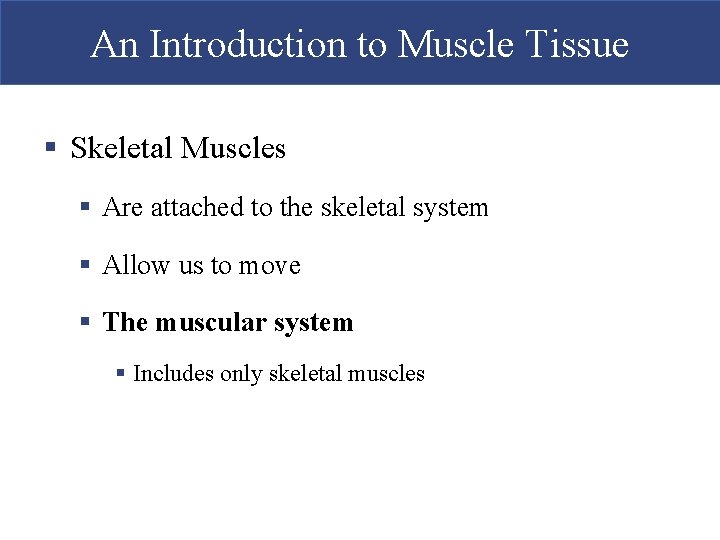 An Introduction to Muscle Tissue § Skeletal Muscles § Are attached to the skeletal