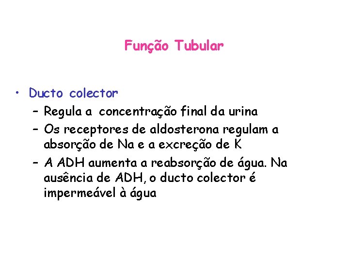 Função Tubular • Ducto colector – Regula a concentração final da urina – Os