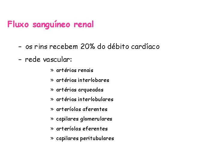 Fluxo sanguíneo renal – os rins recebem 20% do débito cardíaco – rede vascular: