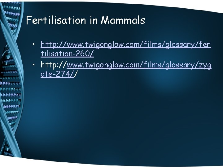 Fertilisation in Mammals • http: //www. twigonglow. com/films/glossary/fer tilisation-260/ • http: //www. twigonglow. com/films/glossary/zyg