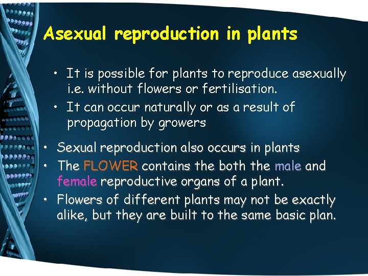 Asexual reproduction in plants • It is possible for plants to reproduce asexually i.