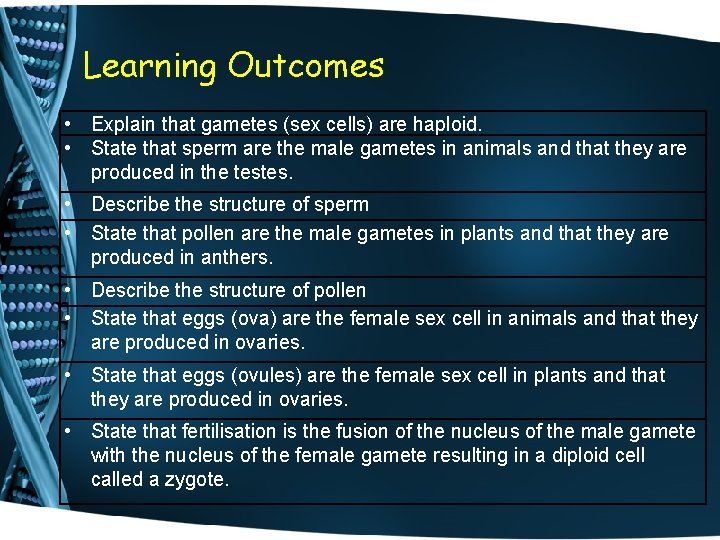 Learning Outcomes • Explain that gametes (sex cells) are haploid. • State that sperm