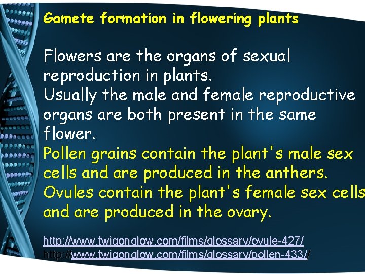 Gamete formation in flowering plants Flowers are the organs of sexual reproduction in plants.