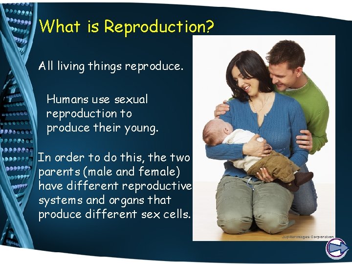 What is Reproduction? All living things reproduce. Humans use sexual reproduction to produce their