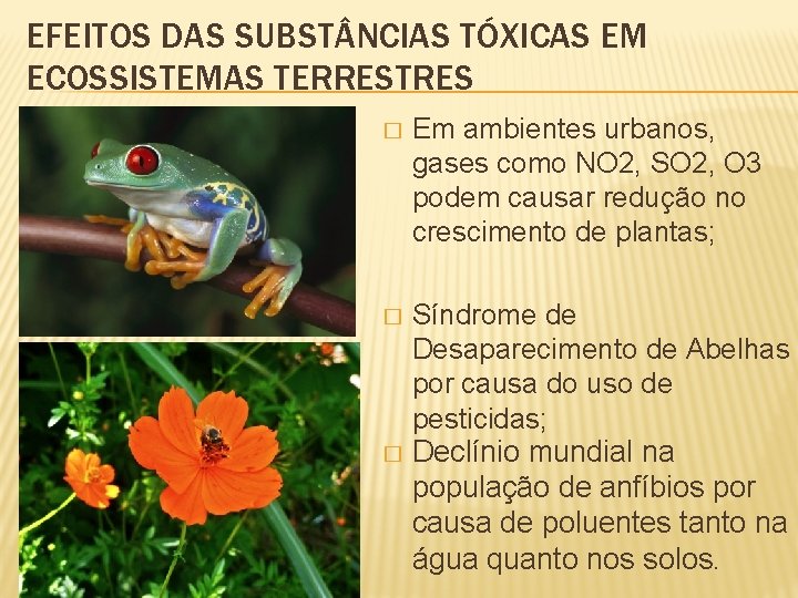 EFEITOS DAS SUBST NCIAS TÓXICAS EM ECOSSISTEMAS TERRESTRES � Em ambientes urbanos, gases como