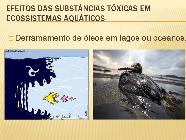 EFEITOS DAS SUBST NCIAS TÓXICAS EM ECOSSISTEMAS AQUÁTICOS � Derramamento de óleos em lagos