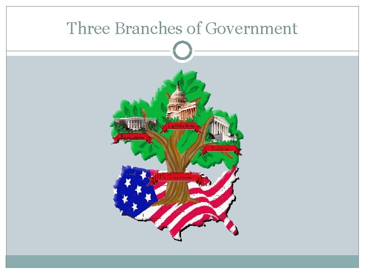 Three Branches of Government 