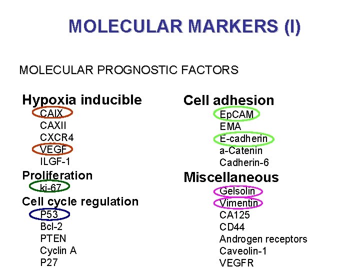 MOLECULAR MARKERS (I) MOLECULAR PROGNOSTIC FACTORS Hypoxia inducible CAIX CAXII CXCR 4 VEGF ILGF-1