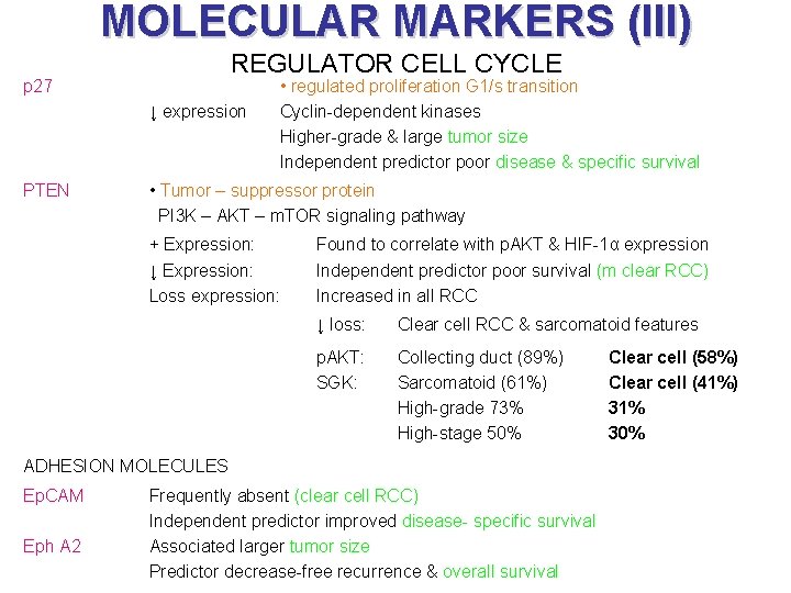 MOLECULAR MARKERS (III) REGULATOR CELL CYCLE p 27 ↓ expression PTEN • regulated proliferation