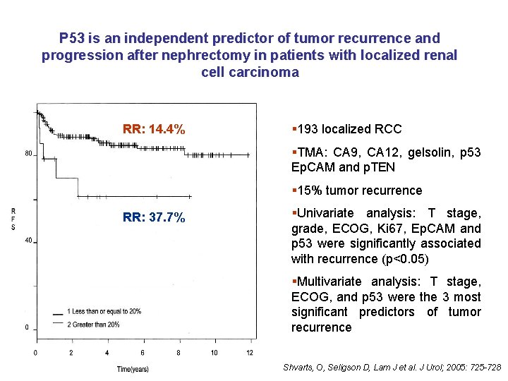 P 53 is an independent predictor of tumor recurrence and progression after nephrectomy in