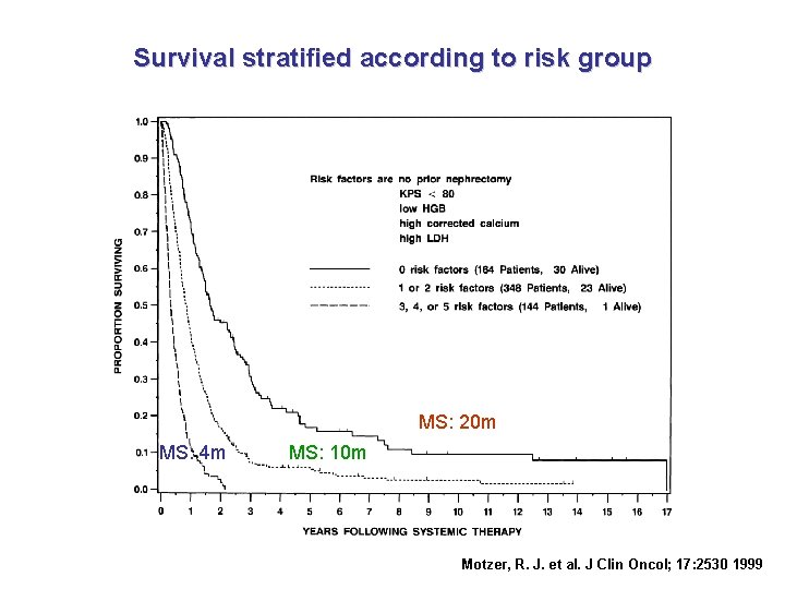 Survival stratified according to risk group MS: 20 m MS: 4 m MS: 10