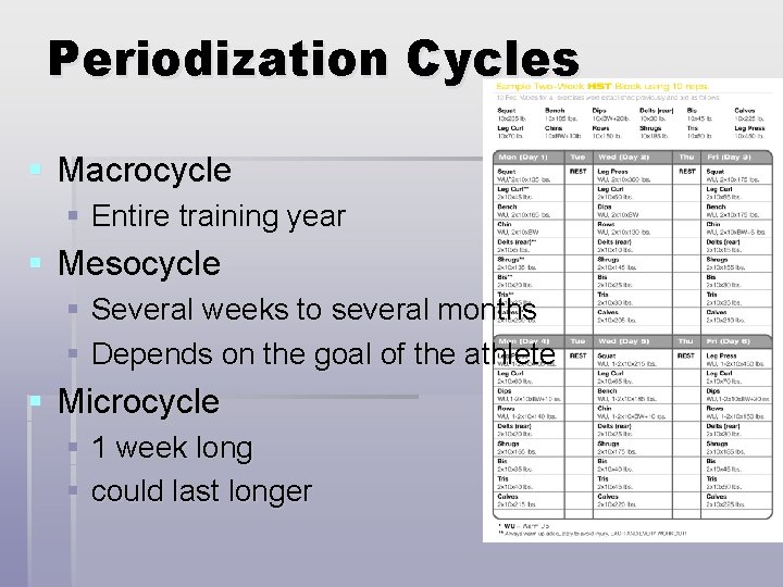 Periodization Cycles § Macrocycle § Entire training year § Mesocycle § Several weeks to