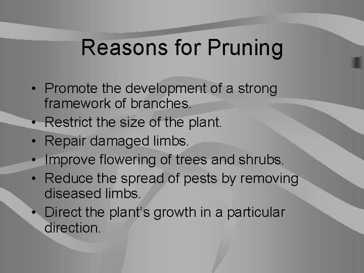 Reasons for Pruning • Promote the development of a strong framework of branches. •