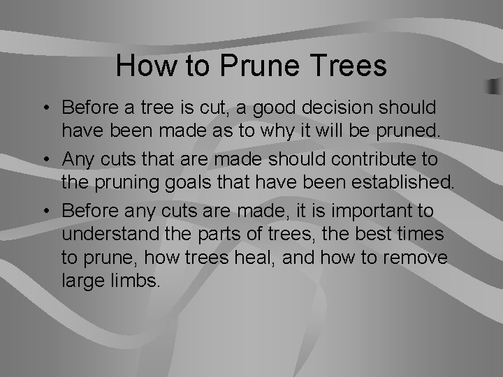 How to Prune Trees • Before a tree is cut, a good decision should