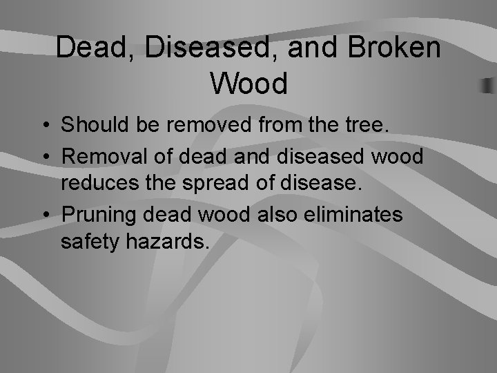 Dead, Diseased, and Broken Wood • Should be removed from the tree. • Removal