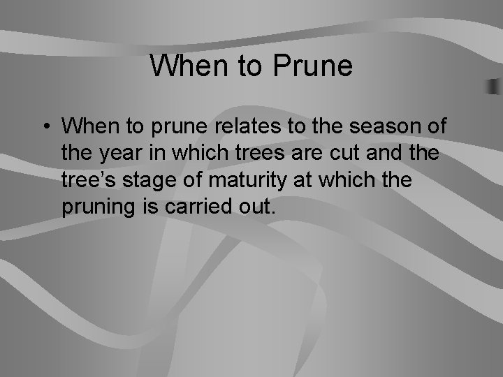 When to Prune • When to prune relates to the season of the year