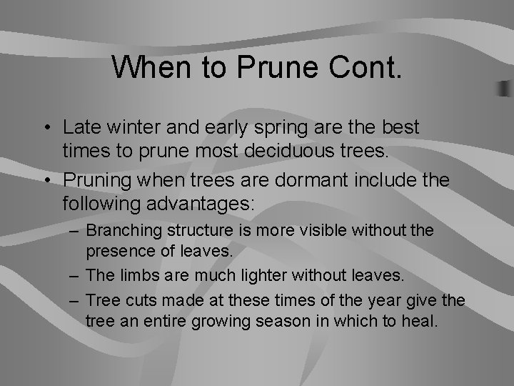 When to Prune Cont. • Late winter and early spring are the best times