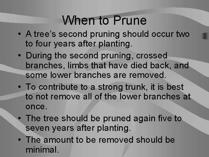 When to Prune • A tree’s second pruning should occur two to four years