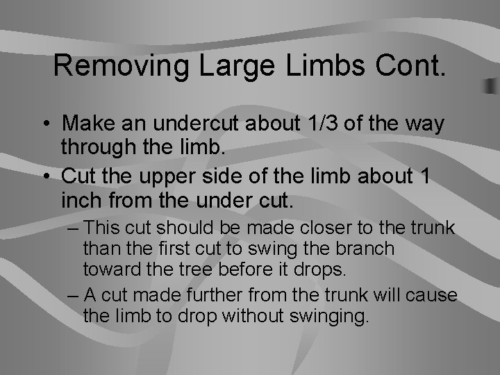 Removing Large Limbs Cont. • Make an undercut about 1/3 of the way through