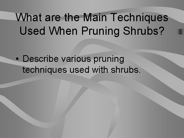 What are the Main Techniques Used When Pruning Shrubs? • Describe various pruning techniques