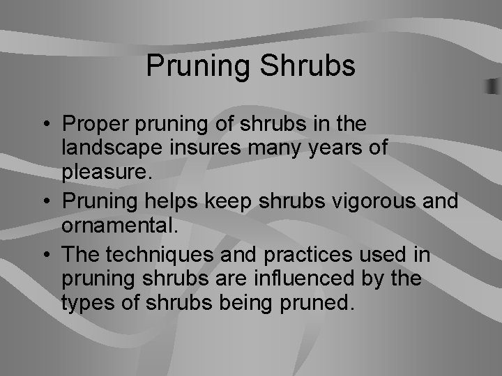 Pruning Shrubs • Proper pruning of shrubs in the landscape insures many years of