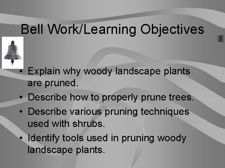 Bell Work/Learning Objectives • Explain why woody landscape plants are pruned. • Describe how