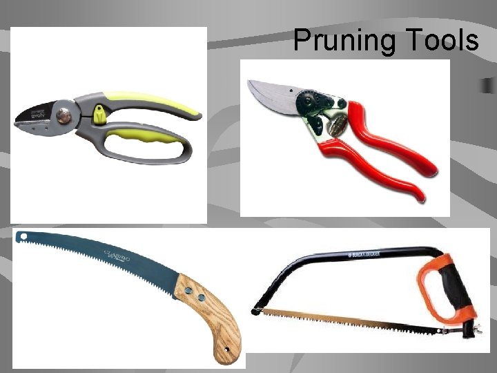 Pruning Tools 