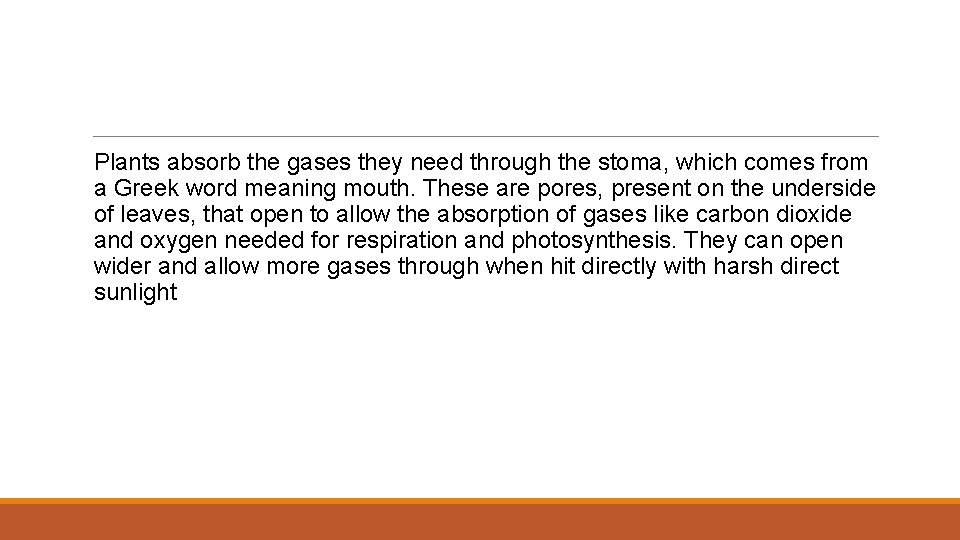  Plants absorb the gases they need through the stoma, which comes from a