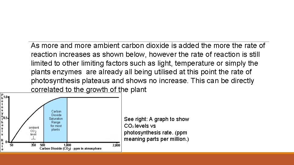 As more and more ambient carbon dioxide is added the more the rate of