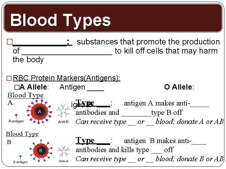 Blood Types �______: substances that promote the production of __________ to kill off cells