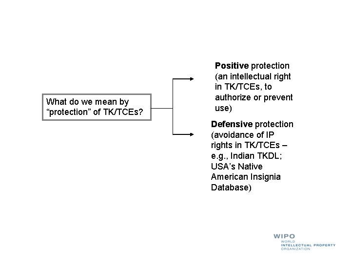 What do we mean by “protection” of TK/TCEs? Positive protection (an intellectual right in