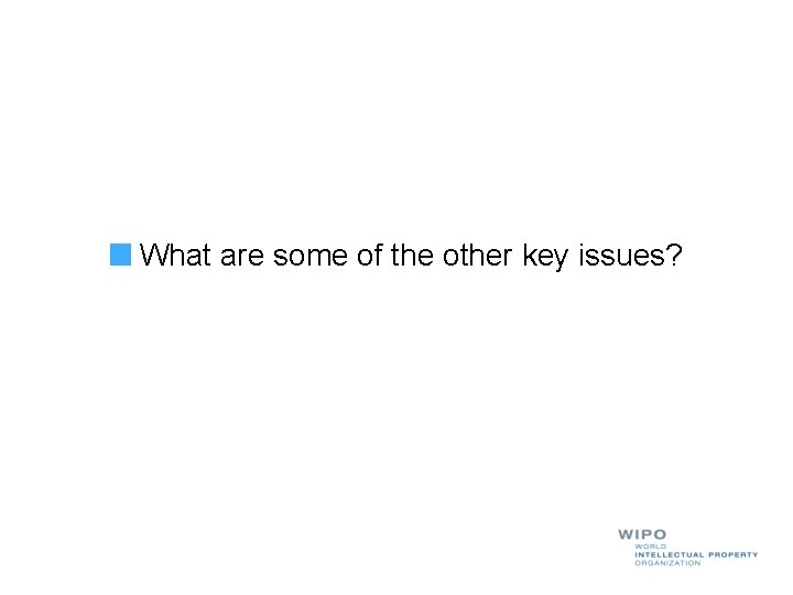 What are some of the other key issues? 